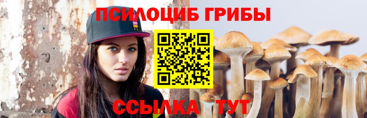 купить закладку  Вход с VPN  Приморско-Ахтарск  Галлюциногенные грибы MAGIC MUSHROOMS 